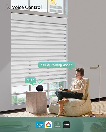 Yoolax Smart Dual Roller Shades, Motorized Blinds with Remote Smart Zebra Shades Compatible with Alexa, Blackout & Light Filtering Automatic Blinds for Windows (Zebra White)