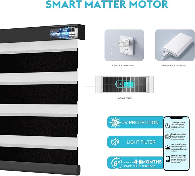 Motorized Zebra Blinds with Remote Smart Blind Work with Homekit Alexa SmartThings Electric Day and Night Shade Cordless Automatic Solar Powered Window Shade Customize(Starry Black)