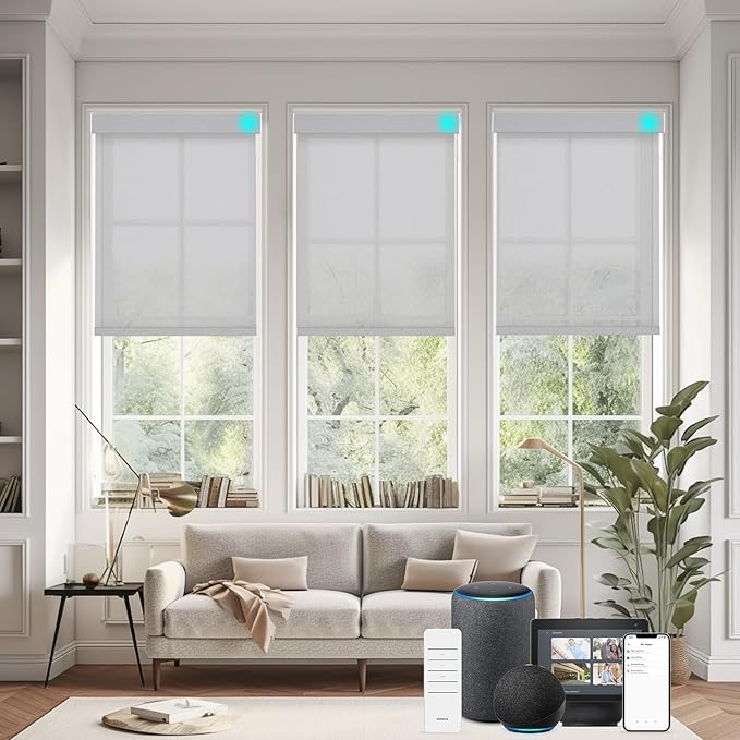 Changshade Smart Roller Shade with Remote Control Light Filtering Automatic Window Shades for Home Custom Size Motorized Blinds for Windows Work with Alexa,Google Home,Apple Homekit, Grey