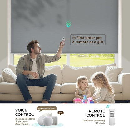 HeyBlinds Motorized Blinds with Remote, Smart Roller Shades with App & Voice Control, Work with Alexa Google HomeKit, Light Filtering Custom Window Shades for Living Room Office (Simply-Smoky Gray LF)