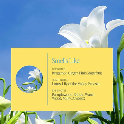 Aera Zephyr - Essential Oil for Home - Simple and Minimal Fragrance - Notes of Lotus Petals, Sandalwood and Lily of The Valley - Scent Refill - Works with The Aera Diffuser