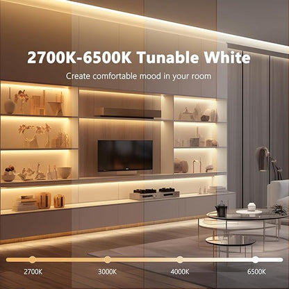 VST CCT LED Strip Controller, 2.4GHz WiFi Remote Control, Voice Control via Alexa & Google Assistant, App Control (Tuya), Touch Dimmer for Brightness & Color Temperature, 12V/24V 5A (Max 60W/120W)