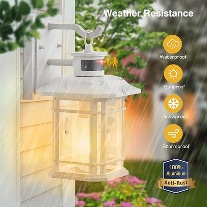 VIANIS Motion Sensor Exterior Lights for House, White Dusk to Dawn Outdoor Lighting, 100% Waterproof Front Porch Light Fixtures, Modern Exterior Sconce with Tempered Seeded Glass for Garage