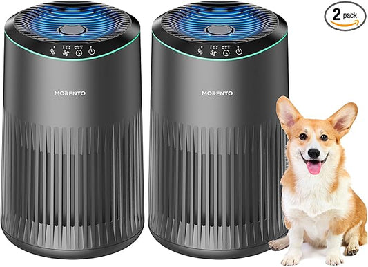 Air Purifiers for Bedroom Home for Smoke Pet Dander Odors, Air Purifier with Sleep Mode Small Air Purifier with Fragrance Sponge for Bedroom Office, Blue Ambient Light, 23dB Quiet, 2 Pack Grey