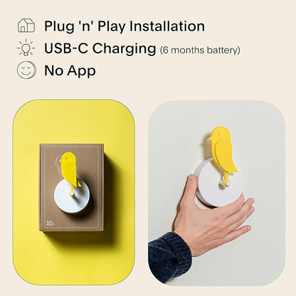 Birdie 2.0 - Design Indoor CO2 Monitor for House Burping - Air Quality Meter for Home & Office -Visual Air Quality Sensor for Fresh Air - Wall Mounted -Swiss Sensor Technology-Yellow, FullBirdie