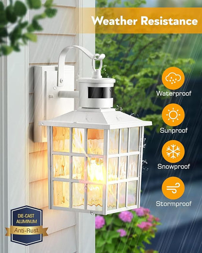 VIANIS Motion Sensor Exterior Wall Light, Brightness Distance Adjustable