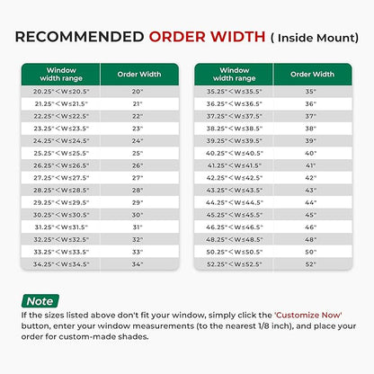 Allesin Smart Zigbee Roller Shades with Alexa Control, Blackout Motorized Blinds, No Hub Needed, Custom Sizes, Remote Included, (White, 46" W x 72" H)