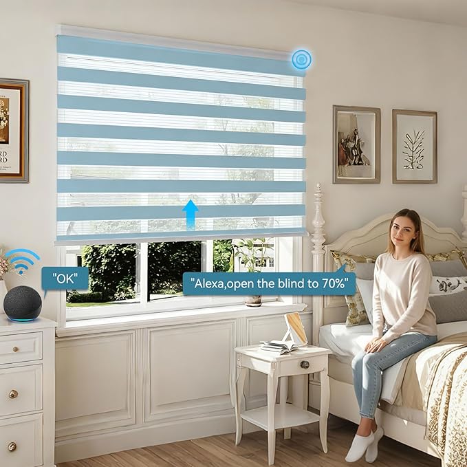 Interior Window Shades, Smart Dual Layer Light Filtering Blinds Compatible with Alexa & Google Home, Customized Size Cordless Electric Window Shades, (Blue, 55% Blackout)