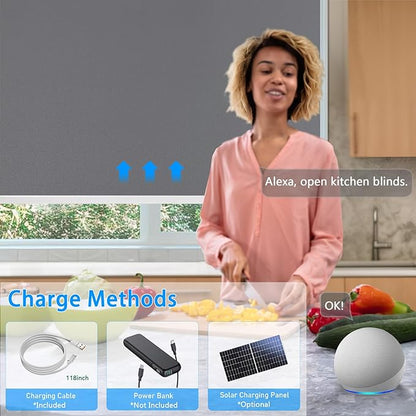 Motorized Blinds with Remote Cordless Automatic Motorized Shades Custom Blinds for Windows Smart Curtains Compatible with Alexa Google Home(Blackout Thunder Grey,W58 x H72in)