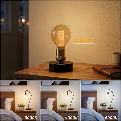 Globe Edison LED Light Bulb, Vintage Decorative Dimmable Bulb Round Glass Cover, 3.5W Low Lumen Eye-Caring Soft Dim Lighting for Mood(Not Daylight White), E26 Medium Base, Amber RN G95