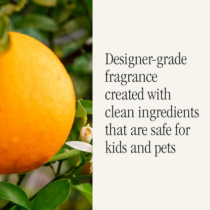 Pura & Antica Farmacista Home Scent Refill - Smart Home Air Diffuser - Up to 120-Hours of Luxury Fragrance per Refill - Household Essential - Safe Diffuser Fragrance - Orange Blossom