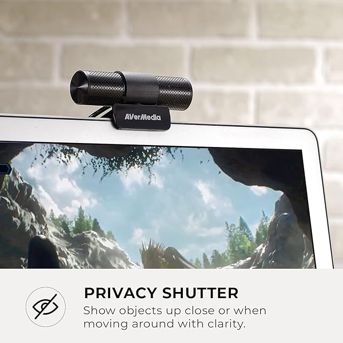 AVerMedia Live Streamer Cam 313 - Full HD 1080P Webcam with Privacy Shutter, Dual Microphone, 360 Degree Swivel for Video Conference - NDAA Compliant (PW313)