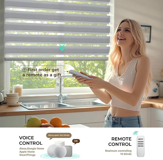 HeyBlinds Motorized Zebra Blinds with Remote, Smart Cordless Electric Zebra Shades for Indoor Windows Compatible with Alexa Google & Homekit, Custom Size (Simple-Gray LF)