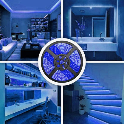 32.8ft Blue LED Strip Lights, Waterproof IP65 SMD2835 Dimmable 600LEDs 12V Cuttable Under Cabinet, Bar, Bedroom, Holiday Decoration Lighting Tape 2 Rolls