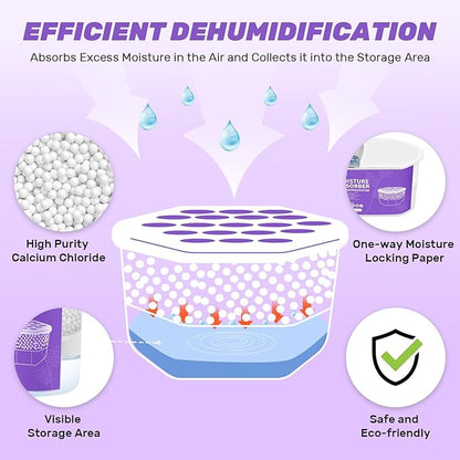 CLEVAST Moisture Absorber Boxes 6 Pack, 12 Oz Dehumidifier for Closet & Bathroom, Humidity Absorber for Wardrobe, Bedroom, RV & Car, Moisture Control, Lavender Scented