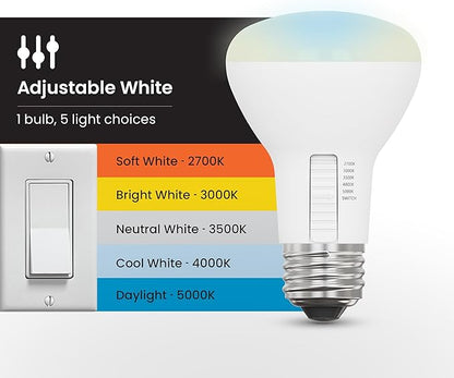 Feit Electric R20 LED Light Bulb, 45W Equivalent, Dimmable, Color Selectable 6-Way, 5CCT, E26 Medium Base, 90 CRI, 450 Lumens, Damp Rated Track or Spot Light, 22-Year Lifetime, R20DM/6WYCA/2, 2 Pack