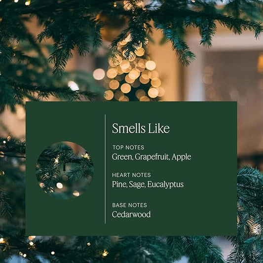 Aera Majestic Fir – Smart Home Scent Refill – Fresh Evergreen and Cedarwood Fragrance – Lasts Up to 3 Months – Works with The Aera Diffuser