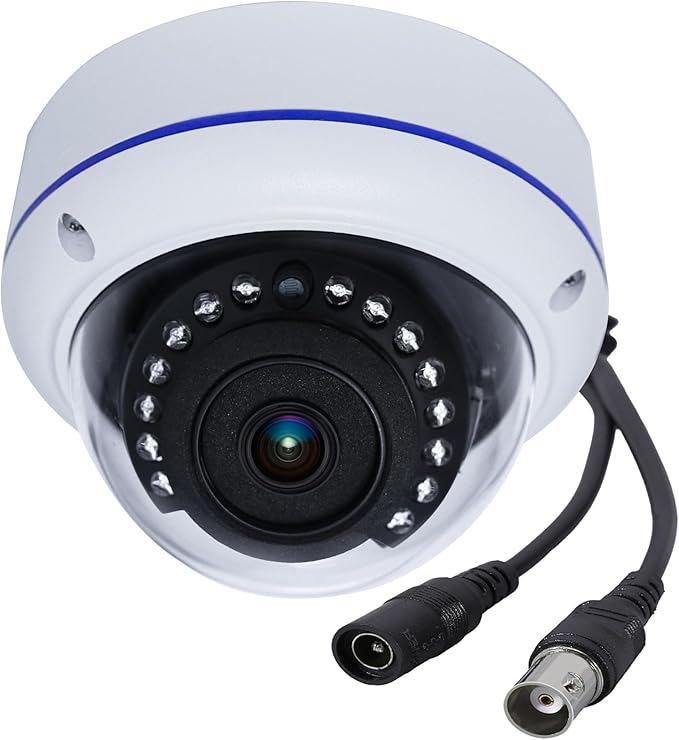 5MP 4MP 180 Degree Wide Angle Dome Security Camera HD-TVI/CVI/AHD/960H Analog 4 in 1 Super Hybrid HD CCTV Surveillance 1.7mm Fisheye Lens Outdoor/Indoor IR Day&Night Vision Home Cam