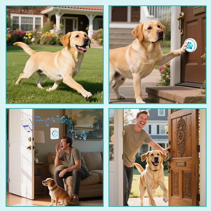 Dog Door Bell for Potty Training, Smart Wireless Doggie Doorbell to Go Outside, 1000 Feet Long Range with IP65 Waterproof Super-Light Touch Button, 60 Melodies & Adjustable Volume (White)
