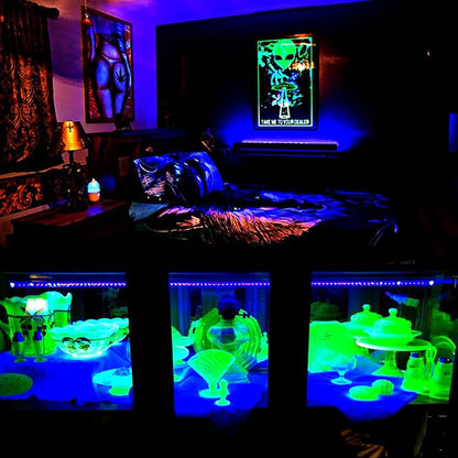 4 Pack 10W 48 LED Black Light Bars 1Ft 395-400nm UV Blacklight Tube with 5.9Ft Cord+Plug+Switch Linkable Black Light Fixtures for Bedroom Fluorescent Poster Body Paint Halloween Glow Party