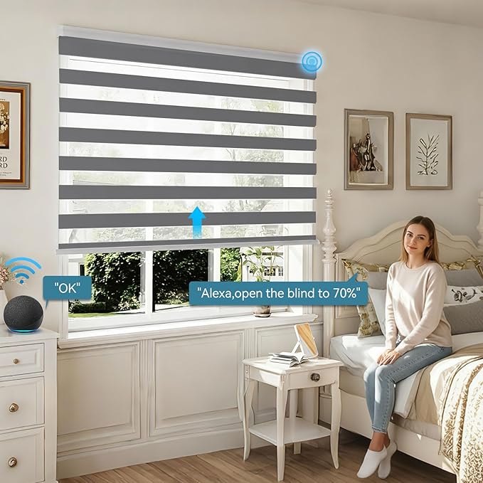 Interior Window Shades, Smart Dual Layer Light Filtering Blinds Compatible with Alexa & Google Home, Customized Size Cordless Electric Window Shades, (Dark Gray, 85% Blackout)