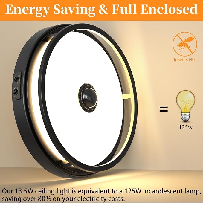 12 Inch LED Motion Sensor Outdoor Ceiling Light for Porch, Black