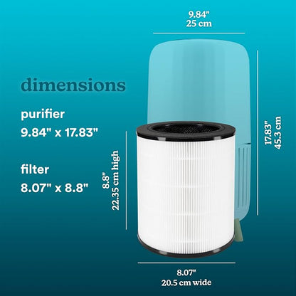 Homedics True HEPA Replacement Filter For Homedics Air Purifier, 8.1" x 8.1" x 8.5" (Pack of 2)