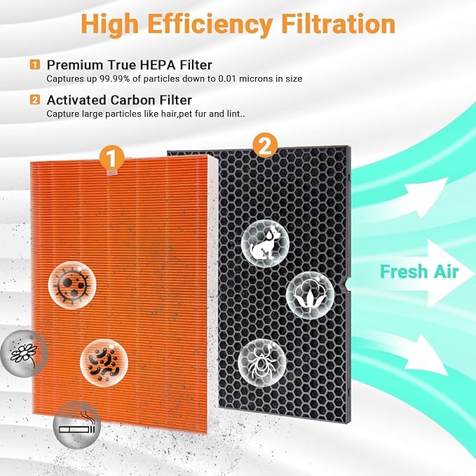 Compatible with Winix C555 Air Cleaner Purifier,116131 True HEPA Replacement Filter,H13 HEPA Filter,116131 Filter I (2 Set)