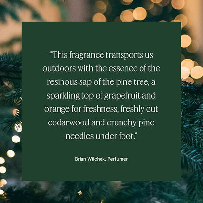 Aera Majestic Fir – Smart Home Scent Refill – Fresh Evergreen and Cedarwood Fragrance – Lasts Up to 3 Months – Works with The Aera Diffuser