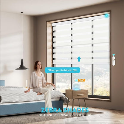 Motorized Zebra Blinds with Remote Smart Blind Work with Homekit Alexa SmartThings Electric Day and Night Shade Cordless Automatic Solar Powered Window Shade Customize(Starry Beige)