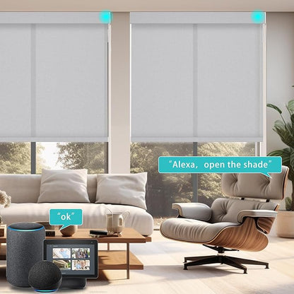 Changshade Smart Roller Shade with Remote Control Light Filtering Automatic Window Shades for Home Custom Size Motorized Blinds for Windows Work with Alexa,Google Home,Apple Homekit, Grey