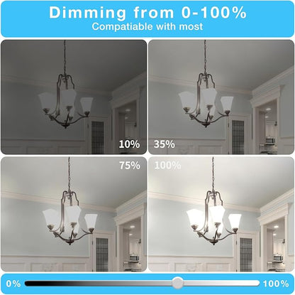 DAYBEETER 6 Pack Dimmable G9 LED Bulb 4W (40 Watt Equivalent), 6000K Daylight White, G9 Halogen Bulb,T4 G9 Bi-pin Base Light Bulbs for Chandelier,120V 450LM 360 Beam Angle No-Flicker G9 Bulb