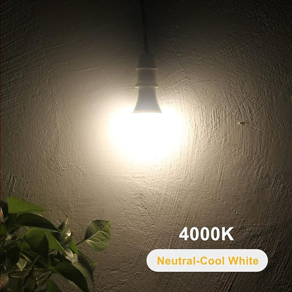 Qualilux Dusk to Dawn Light Bulbs 4000K Cool White Bright White (Neutral White), 850LM, 60W Equivalent, LED 9.5W, A19, E26 Base, 2-Pack, HQ-H013
