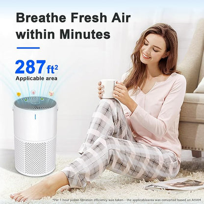 Air Purifiers for Home Large Room up to 1095 Ft², H13 True HEPA Filter Air Purifier for Bedroom with Quiet Sleep Mode & Timer, Air Cleaner for Pets Hair, Smoke, Odor, Dust