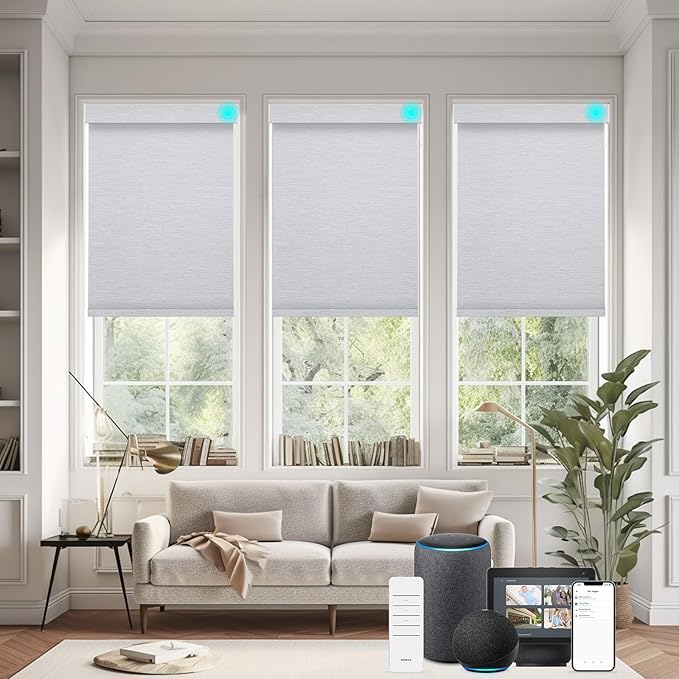 Changshade Smart Roller Shade with Remote Control Blackout Automatic Window Shades for Home Custom Size Motorized Blinds for Windows Work with Alexa,Google Home,Apple Homekit, Grey
