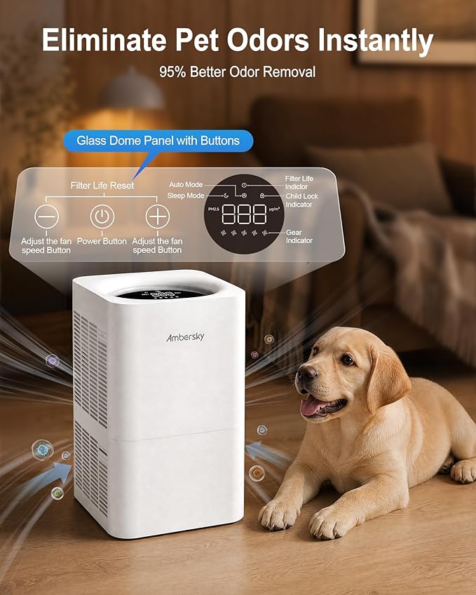 Ambersky Air Purifier for Home, True HEPA Filter for Large Room Up To 2500 Sq Ft, with Real-Time AQI & PM2.5 Display, Sleep Mode, 5 Fan Speeds, 360° Air Cleaner for Pet Hair, Smoke, Dust, Odor
