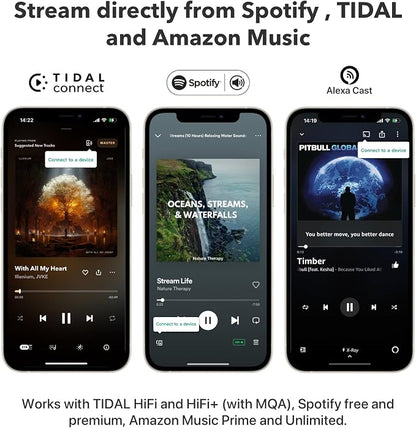 WiiM Pro Plus Music Streamer for Stereo Systems, Modernize Your Hi-Fi