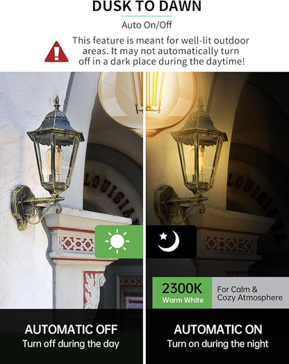 Qualilux Dusk to Dawn Light Bulbs, Auto On/Off Light Sensing LED Bulbs Outdoor, Vintage Amber, Edison ST19 6-Pack, 6.5W 700LM 60W Equivalent, HQ-H028