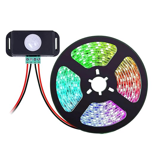 2 Pack Sensky 6A DC 12V 24V PIR Motion Sensor,LED Motion Sensor Switch Body Infrared Motion Sensor Detector Inductor Switch for Timer Function Sign Control PIR Controller LED Strips Lighting