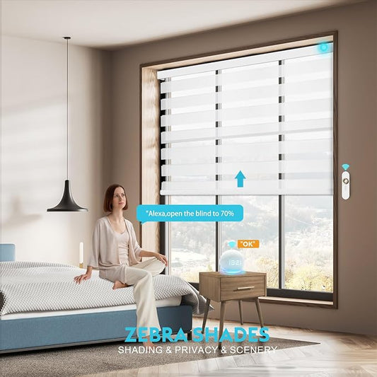 Motorized Zebra Blinds with Remote Smart Blind Work with Homekit Alexa SmartThings Electric Day and Night Shade Cordless Automatic Solar Powered Window Shade Customize(Starry White)