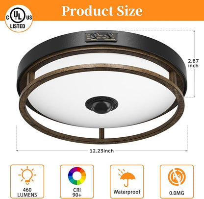 2Pack 12" LED Motion Sensor Outdoor Ceiling Light for Porch, Brown