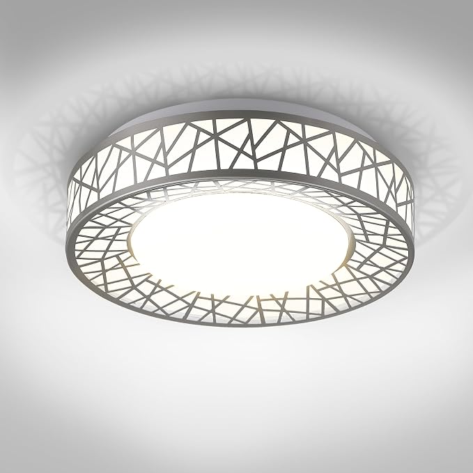 ASD 12 Inch LED Flush Mount Ceiling Light - Brushed Nickel Modern Ceiling Light Fixture 20W 1113LM, 2700-5000K Adjustable Small Ceiling Lights for Kitchen, Bedroom, Hallway, Closet, ETL