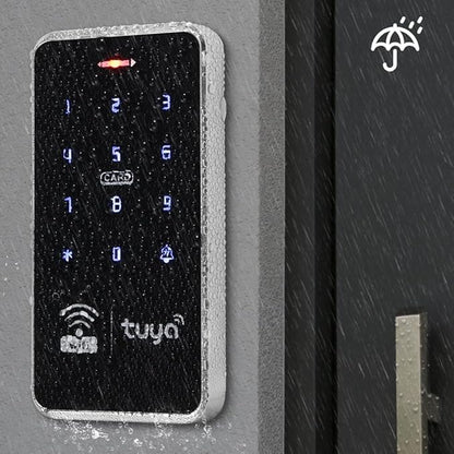 Waterproof Access Control Keypad Home Security System Tuya Smart Remote Unlock Including 10Pcs Key Rings (Silver)