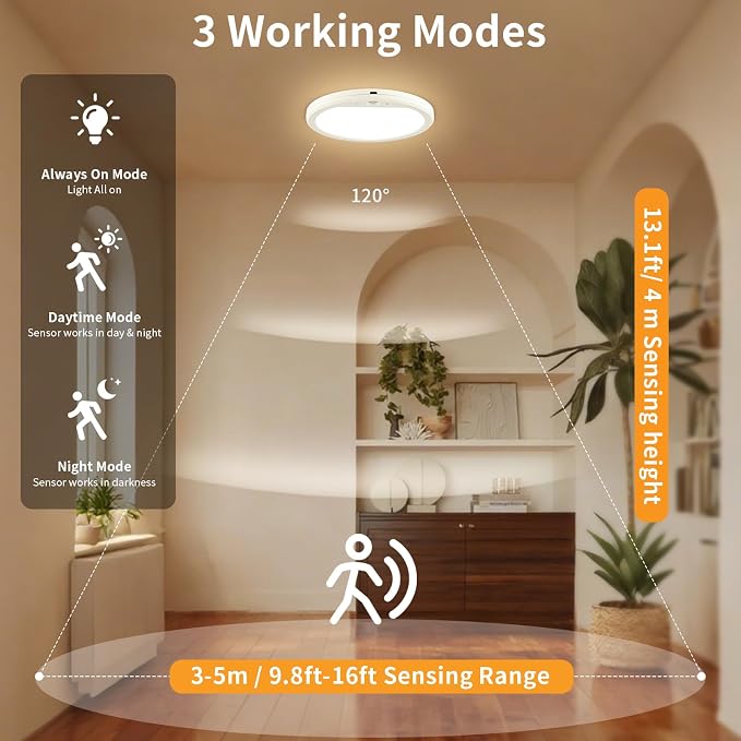 Battery Operated Ceiling Light, Rechargeable Motion Sensor Closet Light