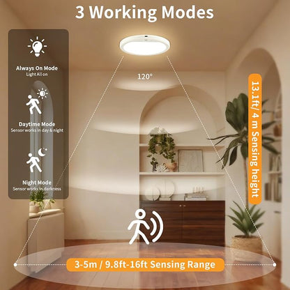 Battery Operated Ceiling Light, Rechargeable Motion Sensor Closet Light