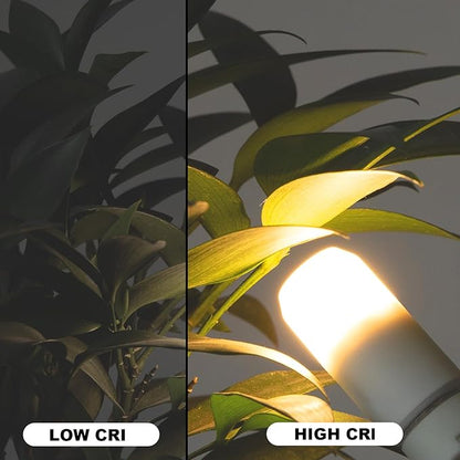 G4 Led Bulb 12V Low Voltage Landscape Lights 2w, T3 Halogen Bulb Led Replacement 2700k Warm White, G4 Bi Pin Led Bulb Ceramic Base for RV, Boat, Yacht, Courtyard, Landscape Path Lights, 1 Pack