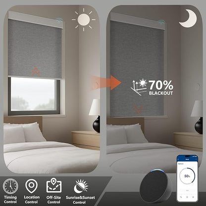 Motorized Light Filtering Roller Shades – Smart Electric Blinds for Living Room, Alexa Google Home Siri, Matter Compatible, Custom Window Shades, Cordless Rechargeable