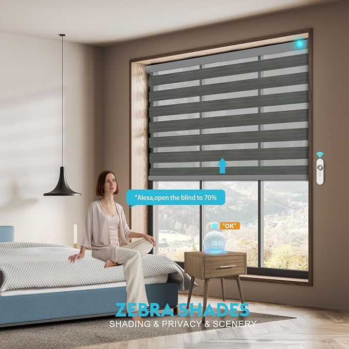 Motorized Zebra Blinds with Remote Smart Blind Work with Homekit Alexa SmartThings Electric Day and Night Shade Cordless Automatic Solar Powered Window Shade Customize(Carbon Dark Grey)