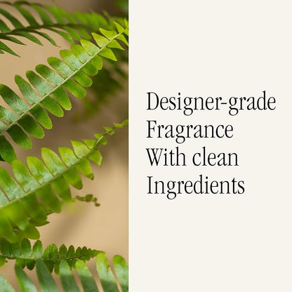 Pura & Brooklyn Candle Studio Home Scent Refill - Smart Air Diffuser - Up to 120-Hours of Luxury Fragrance per Refill - Home Essential - Clean & Safe Diffuser Fragrance - 2 Pack, Fern & Moss