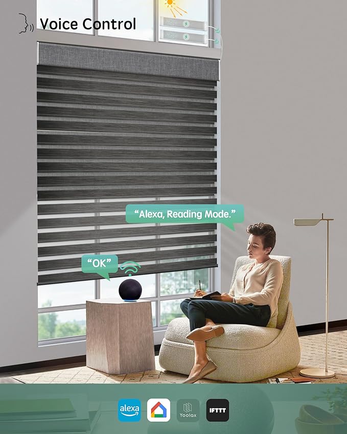 Yoolax Motorized Dual Roller Shade, 60x60in, Zebra Black, Solar Powered, Compatible with Alexa, 100% Blackout Fabric, Light Filtering, Remote Control, Inside Mount